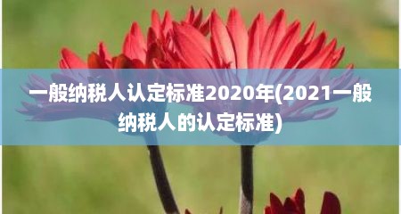 一般纳税人认定标准2020年(2021一般纳税人的认定标准)