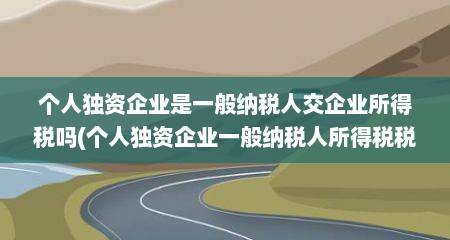个人独资企业是一般纳税人交企业所得税吗(个人独资企业一般纳税人所得税税率)