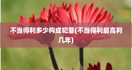 不当得利多少构成犯罪(不当得利最高判几年)