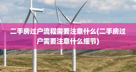 二手房过户流程需要注意什么(二手房过户需要注意什么细节)
