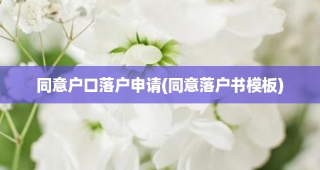 同意户口落户申请(同意落户书模板)