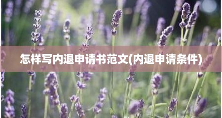 怎样写内退申请书范文(内退申请条件)