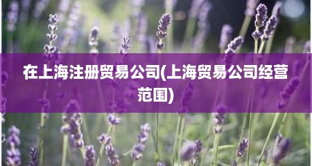 在上海注册贸易公司(上海贸易公司经营范围)