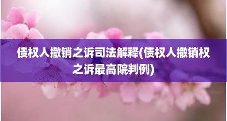 债权人撤销之诉司法解释(债权人撤销权之诉最高院判例)