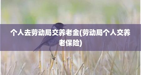 个人去劳动局交养老金(劳动局个人交养老保险)