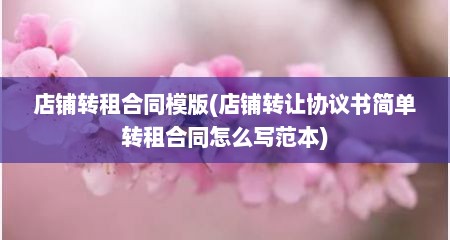 店铺转租合同模版(店铺转让协议书简单转租合同怎么写范本)