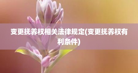 变更抚养权相关法律规定(变更抚养权有利条件)