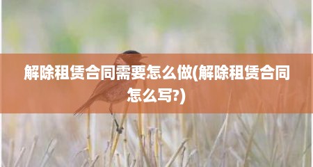 解除租赁合同需要怎么做(解除租赁合同怎么写?)