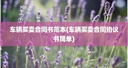 车辆买卖合同书范本(车辆买卖合同协议书简单)