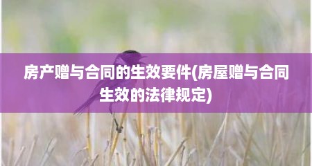 房产赠与合同的生效要件(房屋赠与合同生效的法律规定)