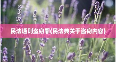 民法通则盗窃罪(民法典关于盗窃内容)