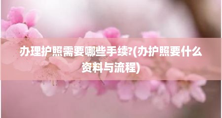 办理护照需要哪些手续?(办护照要什么资料与流程)