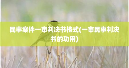 民事案件一审判决书格式(一审民事判决书的功用)