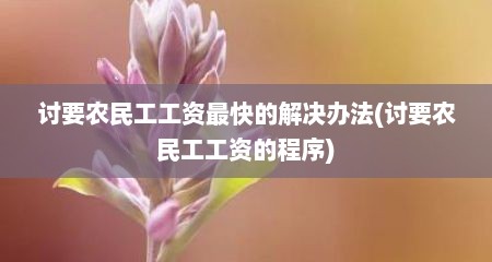 讨要农民工工资最快的解决办法(讨要农民工工资的程序)