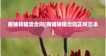 商铺转租赁合同(商铺转租合同正规范本)