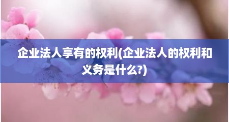 企业法人享有的权利(企业法人的权利和义务是什么?)