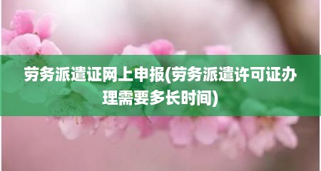 劳务派遣证网上申报(劳务派遣许可证办理需要多长时间)