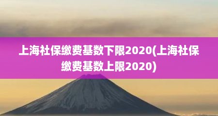 上海社保缴费基数下限2020(上海社保缴费基数上限2020)
