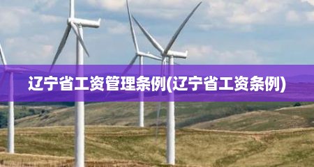 辽宁省工资管理条例(辽宁省工资条例)