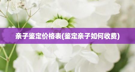 亲子鉴定价格表(鉴定亲子如何收费)