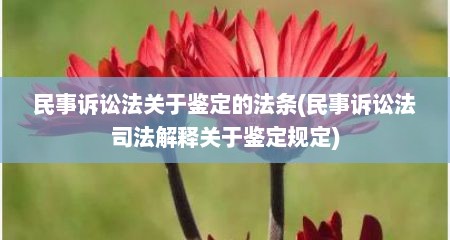 民事诉讼法关于鉴定的法条(民事诉讼法司法解释关于鉴定规定)