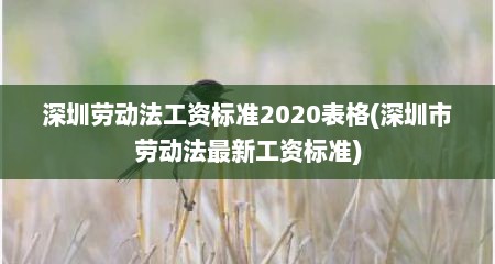 深圳劳动法工资标准2020表格(深圳市劳动法最新工资标准)