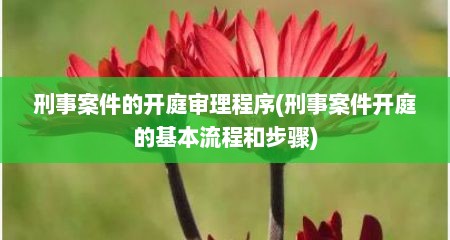 刑事案件的开庭审理程序(刑事案件开庭的基本流程和步骤)
