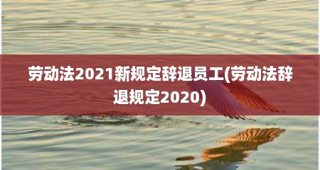 劳动法2021新规定辞退员工(劳动法辞退规定2020)