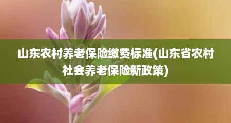 山东农村养老保险缴费标准(山东省农村社会养老保险新政策)