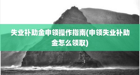 失业补助金申领操作指南(申领失业补助金怎么领取)