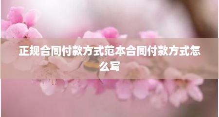 正规合同付款方式范本合同付款方式怎么写
