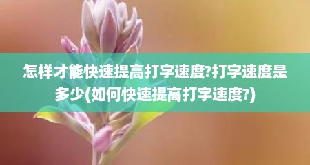 怎样才能快速提高打字速度?打字速度是多少(如何快速提高打字速度?)