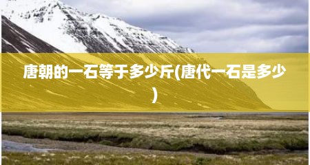 唐朝的一石等于多少斤(唐代一石是多少)