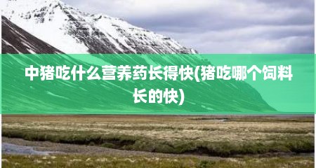 中猪吃什么营养药长得快(猪吃哪个饲料长的快)