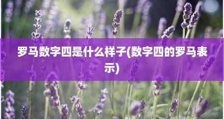 罗马数字四是什么样子(数字四的罗马表示)