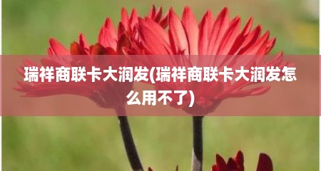 瑞祥商联卡大润发(瑞祥商联卡大润发怎么用不了)