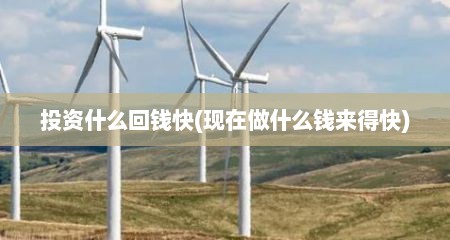 投资什么回钱快(现在做什么钱来得快)