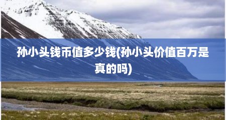孙小头钱币值多少钱(孙小头价值百万是真的吗)