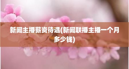 新闻主播薪资待遇(新闻联播主播一个月多少钱)