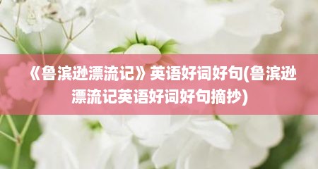 《鲁滨逊漂流记》英语好词好句(鲁滨逊漂流记英语好词好句摘抄)