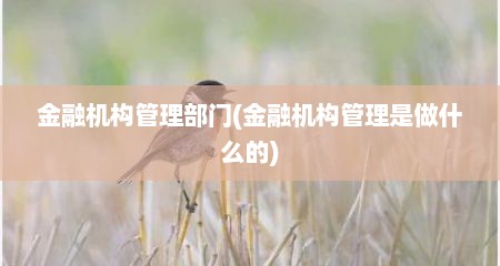 金融机构管理部门(金融机构管理是做什么的)