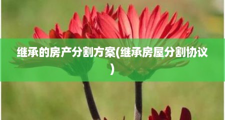 继承的房产分割方案(继承房屋分割协议)