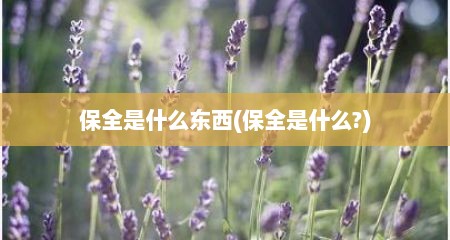 保全是什么东西(保全是什么?)