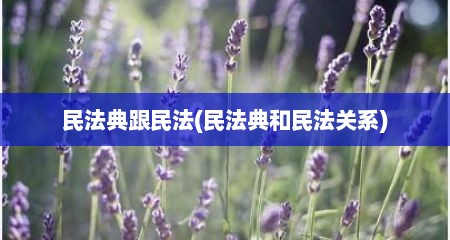 民法典跟民法(民法典和民法关系)