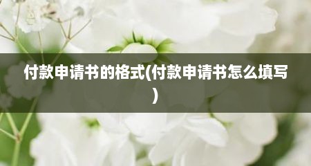 付款申请书的格式(付款申请书怎么填写)