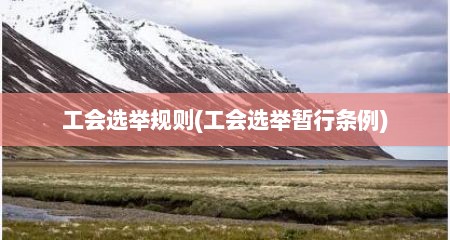 工会选举规则(工会选举暂行条例)