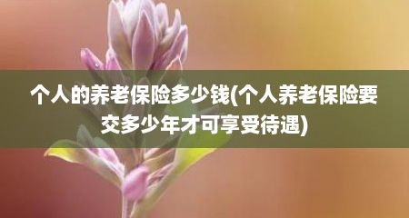 个人的养老保险多少钱(个人养老保险要交多少年才可享受待遇)