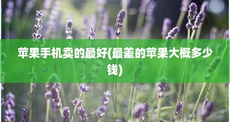 苹果手机卖的最好(最差的苹果大概多少钱)
