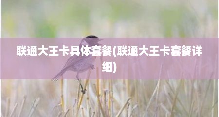 联通大王卡具体套餐(联通大王卡套餐详细)