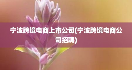 宁波跨境电商上市公司(宁波跨境电商公司招聘)